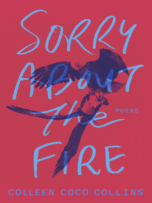cover image of Sorry About the Fire